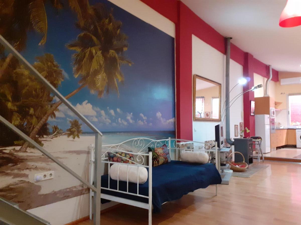Loft Centrico Y Confortable Jerez de la Frontera Exteriér fotografie